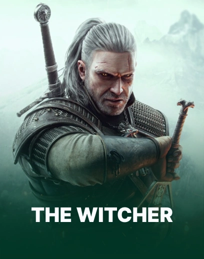 the witcher